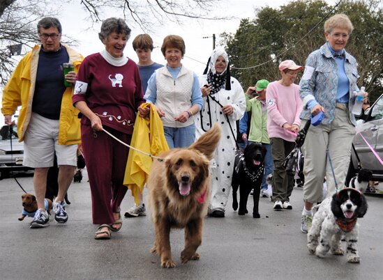 Dog walkers