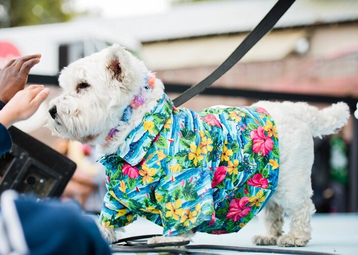 Jo's Pet Parade - Hawaiian Shirt