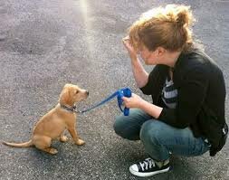 puppy kid leash